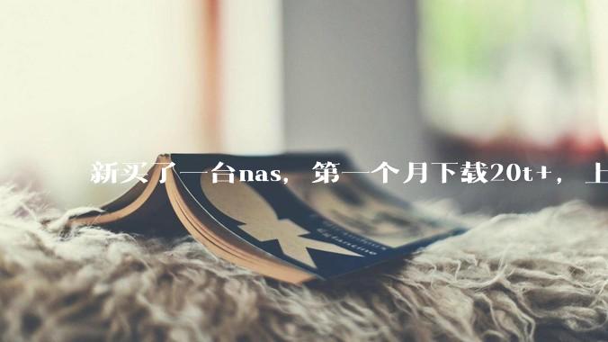 新买了一台nas，第一个月下载20t+，上传5+，不会被网警盯上吧?
