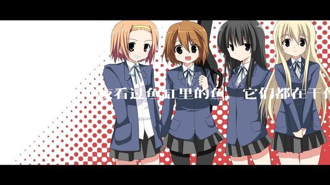 谁在半夜看过鱼缸里的鱼，它们都在干什么？