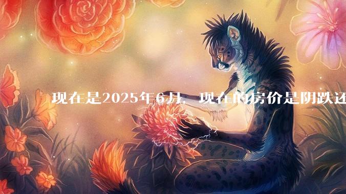 现在是2025年6月，现在的房价是阴跌还是暴跌？还会继续跌多久？是否已经开始分化?